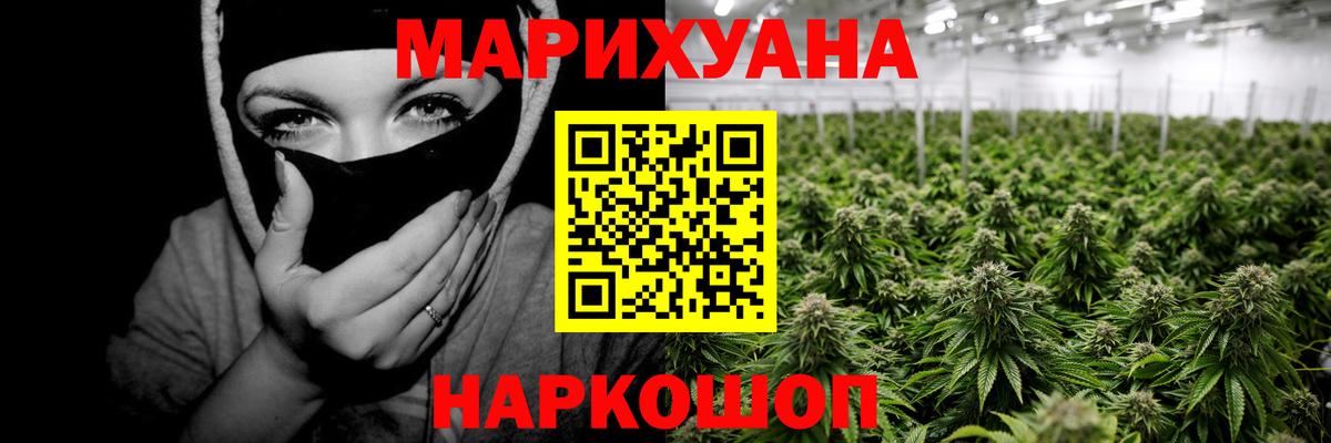 Бошки марихуана гибрид  Вход с VPN  Междуреченск  МАРИХУАНА MAZAR  Марихуана сатива 